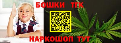 МДПВ Новодвинск