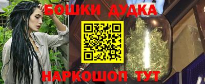 МДПВ Новодвинск