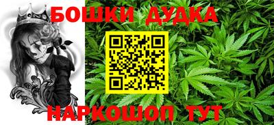 МДПВ Новодвинск