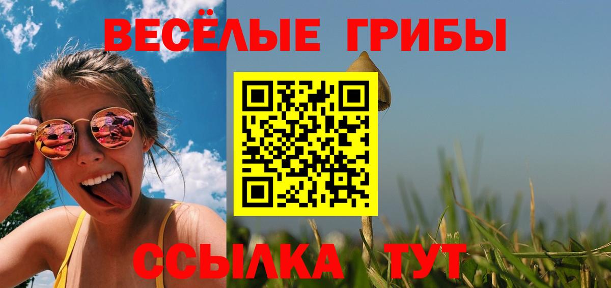 Ступино  Псилоцибиновые грибы мухоморы  Галлюциногенные грибы Psilocybine cubensis  Вход с VPN 